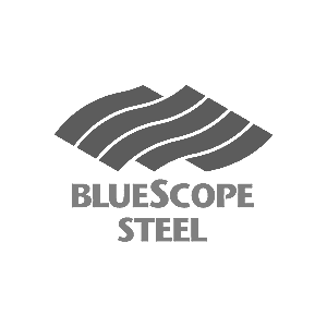 BSS